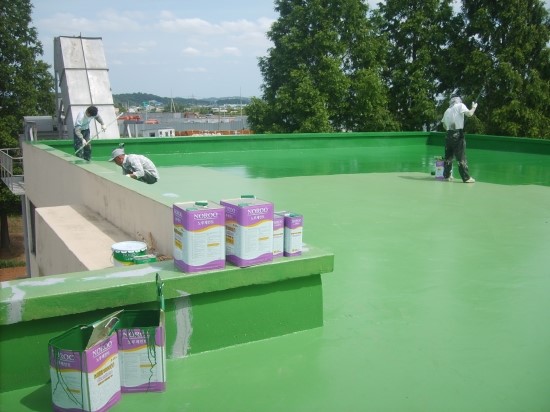 안중페인트 PC 이미지 545806