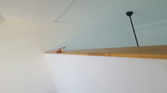 안중페인트 PC 이미지 545792